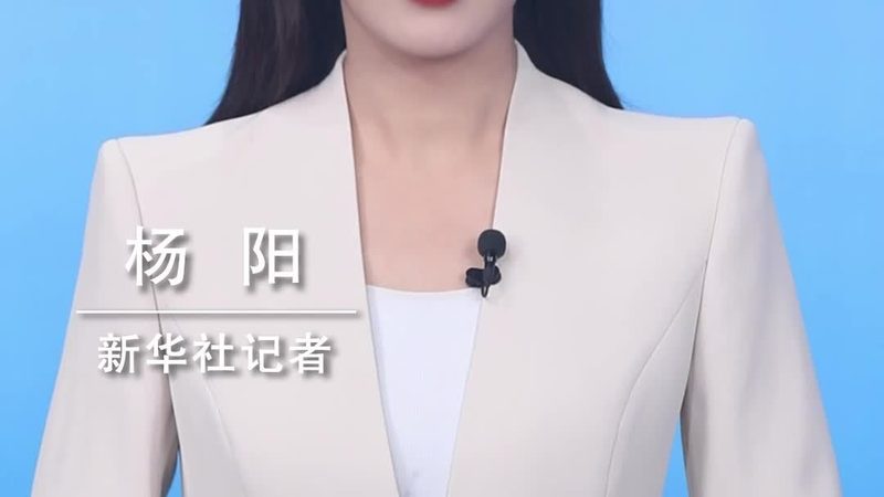 北京供应链管理系统：揭秘其核心功能与选型要点